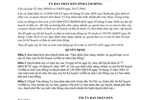 Quyết định 14/2010/QĐ-UBND chức năng nhiệm vụ quyền hạn cơ cấu Sở KH&ĐT