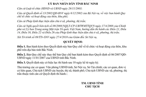 Quyết định 48/2010/QĐ-UBND tổ chức hoạt động thôn khu phố Bắc Ninh