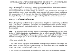 Thông tư 79/2010/TT-BTC hướng dẫn xử lý tài chính khi chuyển đổi Công ty