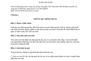 Luật nuôi con nuôi 2010