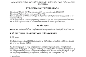 Quyết định 28/2010/QĐ-UBND chính sách hỗ trợ khuyến khích hỏa táng