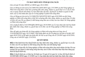 Quyết định 16/2010/QĐ-UBND chức năng nhiệm vụ Chi cục Quản lý chất lượng Quảng Ngãi