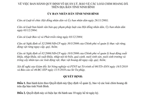 Quyết định 14/2010/QĐ-UBND bảo vệ các loài chim hoang dã Ninh Bình