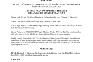 Nghị quyết 8i/2010/NQCĐ-HĐND Quy hoạch bảo vệ phát triển rừng Thừa Thiên Huế 2009 2020