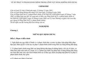 Nghị định 60/2010/NĐ-CP xử phạt vi phạm hành chính trong lĩnh vực hàng không