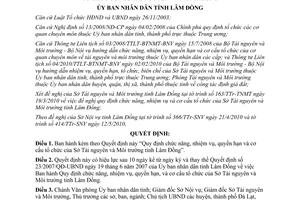 Quyết định 19/2010/QĐ-UBND chức năng nhiệm vụ quyền hạn cơ cấu Sở Tài nguyên