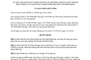 Quyết định 09/2010/QĐ-UBND quy hoạch phát triển cụm công nghiệp Bình Định