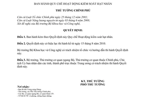 Quyết định 45/2010/QĐ-TTg Quy chế Hoạt động kiểm soát hạt nhân