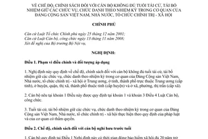 Nghị định 67/2010/NĐ-CP chế độ chính sách cán bộ không đủ tuổi tái cử