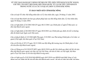 Quyết định 15/2010/QĐ-UBND chi tiêu đón tiếp khách nước ngoài tổ chức hội nghị hội thảo Đắk Nông