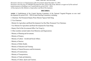 Decision No. 1013/QD-TTg establishment of the central steering committee