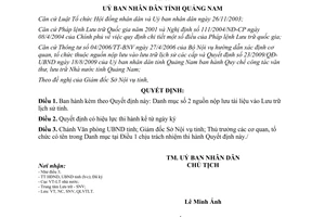 Quyết định 2124/QĐ-UBND 2010 Danh mục số 2 nguồn nộp lưu tài liệu vào Lưu trữ lịch sử Quảng Nam