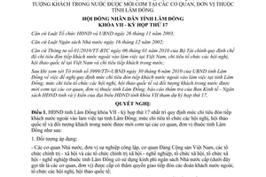 Nghị quyết 141/2010/NQ-HĐND mức chi tiêu đón tiếp khách nước ngoài vào làm việc