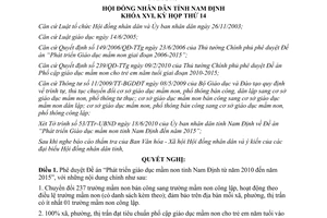 Nghị quyết 141/2010/NQ-HĐND phát triển giáo dục mầm non Nam Định 2010 - 2015