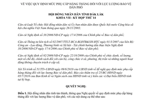 Nghị quyết 04/2010/NQ-HĐND mức phụ cấp hàng tháng lực lượng bảo vệ dân phố Đắk Lắk