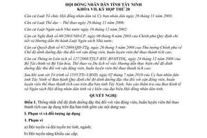 Nghị quyết 14/2010/NQ-HĐND dinh dưỡng đặc thù huấn luyện viên vận động viên thể thao Tây Ninh