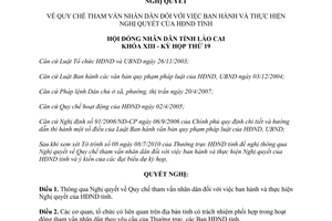 Nghị quyết 18/2010/NQ-HĐND Quy chế tham vấn nhân dân ban hành Nghị quyết Lào Cai