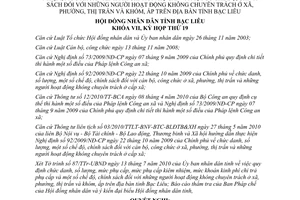 Nghị quyết 05/2010/NQ-HĐND chức danh phụ cấp người hoạt động không chuyên trách