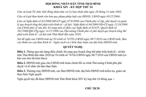 Nghị quyết 39/2010/NQ-HĐND điều chỉnh quy hoạch phát triển kinh tế xã hội Thái Bình 2020