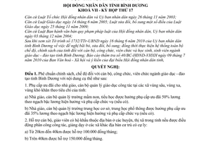 Nghị quyết 14/2010/NQ-HĐND7 chính sách chế độ cán bộ, công chức, viên chức