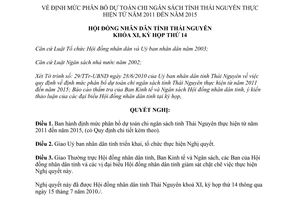 Nghị quyết 12/2010/NQ-HĐND định mức phân bổ dự toán chi ngân sách Thái Nguyên