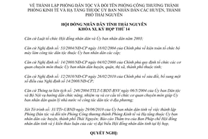 Nghị quyết 16/2010/NQ-HĐND thành lập Phòng Dân tộc đổi tên Phòng Công thương Thái Nguyên