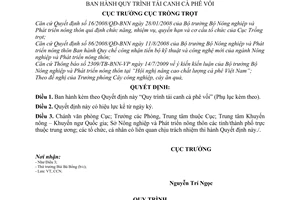 Quyết định 254/QĐ-TT-CCN Quy trình tái canh cà phê vối