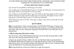 Quyết định 12/2010/QĐ-UBND sửa đổi trình tự chính sách trồng rừng chăm sóc bảo vệ rừng Lai Châu