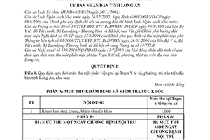 Quyết định 24/2010/QĐ-UBND quy định tạm thời mức thu viện phí