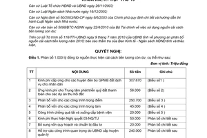 Nghị quyết 13/2010/NQ-HĐND phân bổ nguồn cải cách tiền lương còn dư Vĩnh Phúc