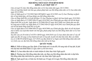 Nghị quyết 03/2010/NQ-HĐND ban hành mới và sửa đổi phí, lệ phí trên địa bàn tỉnh