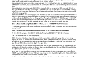 Thông tư 13/2010/TT-BKHCN sửa đổi Thông tư 17/2009/TT-BKHCN