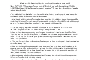 Công văn 1257/QLLĐNN-TTLĐ 2010 hướng dẫn doanh nghiệp thực hiện 653/QĐ-LĐTBXH