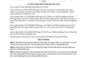 Quyết định 19/2010/QĐ-UBND chức năng nhiệm vụ Chi cục Văn thư Lưu trữ Quảng Nam