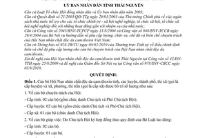 Quyết định 21/2010/QĐ-UBND số lượng mức phụ cấp lương cán bộ chuyên trách