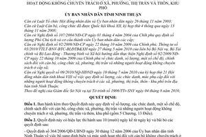 Quyết định 1299/2010/QĐ-UBND số lượng, chức danh, chế độ, chính sách