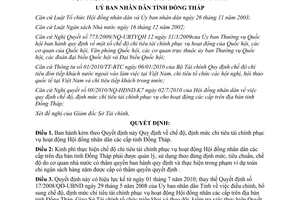 Quyết định 27/2010/QĐ-UBND định mức chi tiêu tài chính HĐND Đồng Tháp