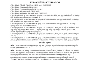 Quyết định 23/2010/QĐ-UBND hoạt động đầu tư