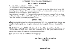 Quyết định 18/2010/QĐ-UBND điều kiện an toàn kỹ thuật, phạm vi hoạt động