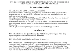 Quyết định 59/2010/QĐ-UBND Quy chế bình chọn, xét thưởng sản phẩm công nghiệp