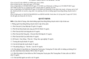 Quyết định 100/2010/QĐ-UBND số lượng chức danh chế độ phụ cấp hàng tháng