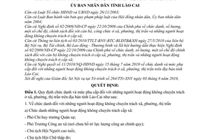 Quyết định 19/2010/QĐ-UBND chức danh mức phụ cấp người hoạt động không chuyên