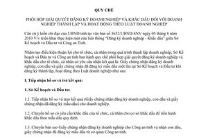 Quy chế 3514/SKHĐT-CAT phối hợp giải quyết đăng ký doanh nghiệp khắc dấu doanh nghiệp Bình thuận 2015