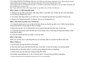 Thông tư 39/2010/TT-BYT tiêu chuẩn, chức năng, nhiệm vụ nhân viên y tế