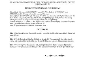 Quyết định 2294/QĐ-TCHQ Quy trình phúc tập hồ sơ hải quan