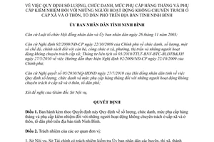 Quyết định 17/2010/QĐ-UBND phụ cấp người hoạt động không chuyên trách cấp xã Ninh Bình