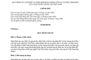 Nghị định 95/2010/NĐ-CP  cấp phép phối hợp hoạt động lực lượng tìm kiếm cứu nạn