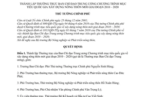 Quyết định 1738/QĐ-TTg thành lập Thường trực Ban Chỉ đạo Trung ương