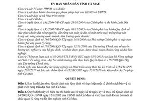 Quyết định 19/2010/QĐ-UBND  thực hiện chính sách bảo vệ phát triển rừng
