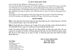 Quyết định 18/2010/QĐ-UBND phân loại đê hành lang bảo vệ đê